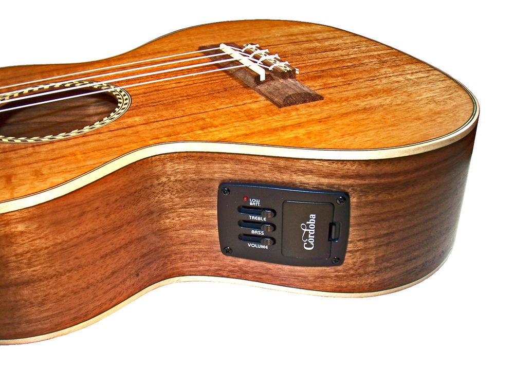 acoustic-electric-guitar