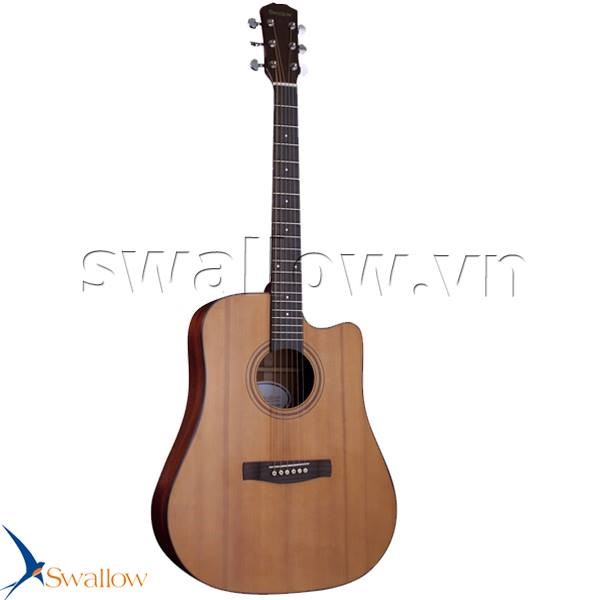 acoustic-guitar