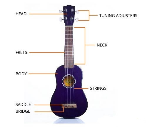 cau-tao-dan-ukulele