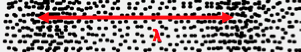 chat-lieu-lam-ngua-dan.png