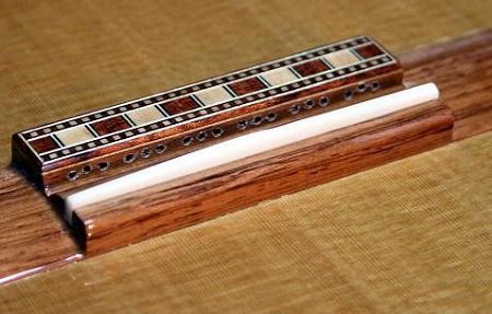 mat-truoc-ngua-dan