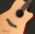 Swallow Acoustic Guitar D312ce
