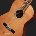 Swallow Classic Guitar C300A