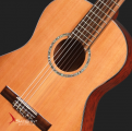 Swallow Classic Guitar C700A
