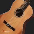 Swallow Classic Guitar CW01A