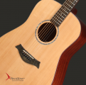Swallow Acoustic Guitar D312