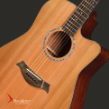Swallow Acoustic Guitar DM03ce
