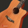 Swallow Acoustic Guitar D712ce
