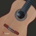 Swallow Classic Guitar C750