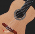 Swallow Classic Guitar CW10