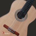 Swallow Classic Guitar C610