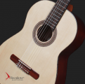Swallow Classic Guitar CM50