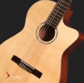 Swallow Classic Guitar CM50ce