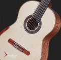 Swallow Classic Guitar C650SF