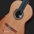 Swallow Classic Guitar C950SF