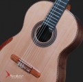 Swallow Classic Guitar CW50SF
