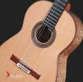 Swallow Classic Guitar CSA01
