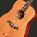 Swallow Acoustic Guitar D700