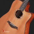 Swallow Acoustic Guitar D700ce