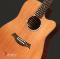 Swallow Acoustic Guitar D900ce