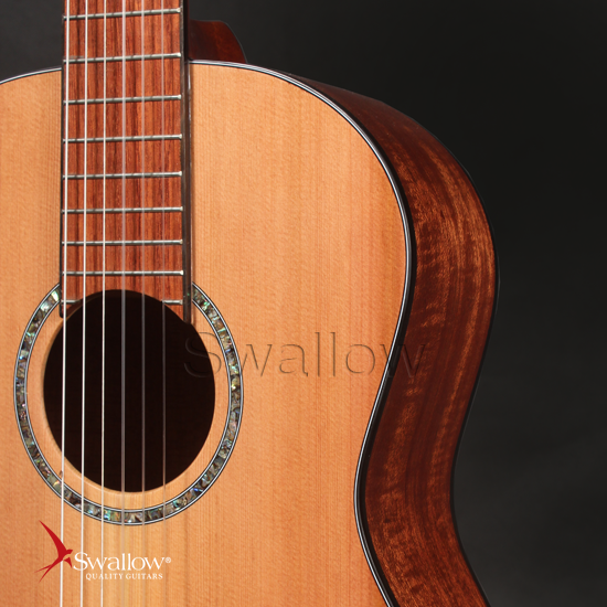 Swallow Classic Guitar CM01A