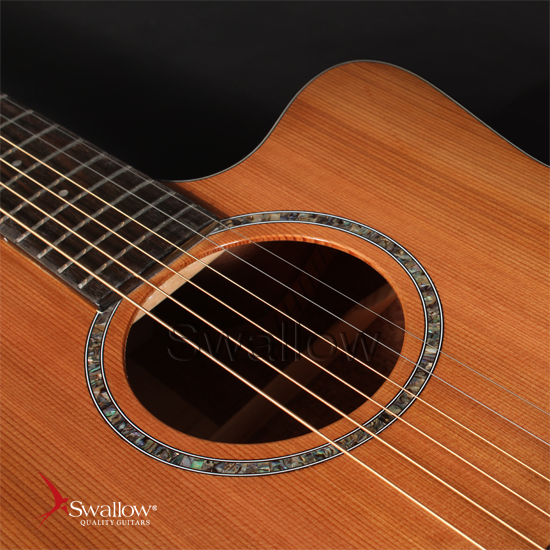 Swallow Acoustic Guitar DM03ce