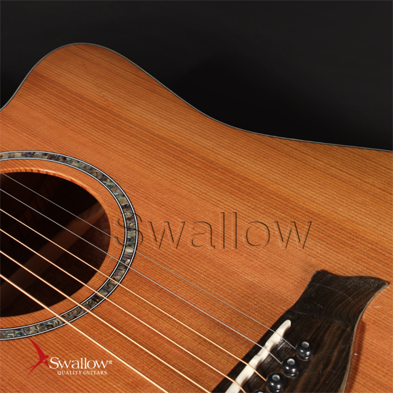 Swallow Acoustic Guitar DM03ce