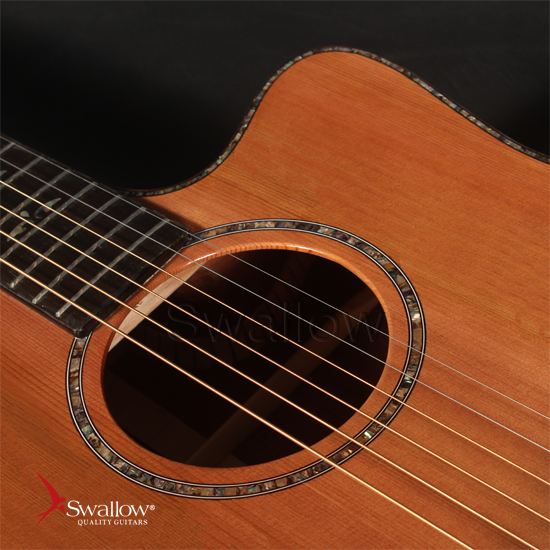 Swallow Acoustic Guitar D712ce