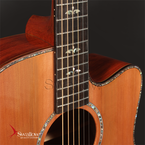 Swallow Acoustic Guitar D712ce