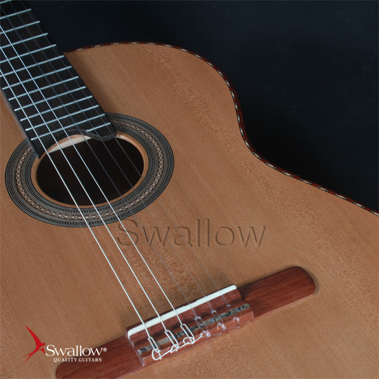 Swallow Classic Guitar C750