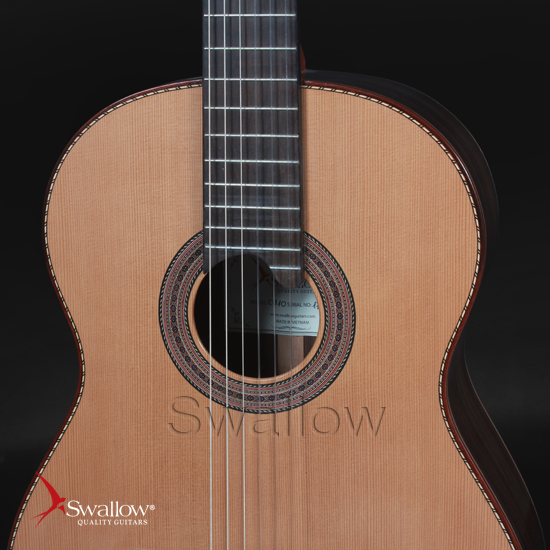Swallow Classic Guitar C910