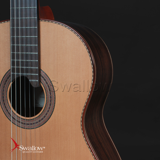 Swallow Classic Guitar C910