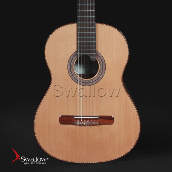 Swallow Classic Guitar C910