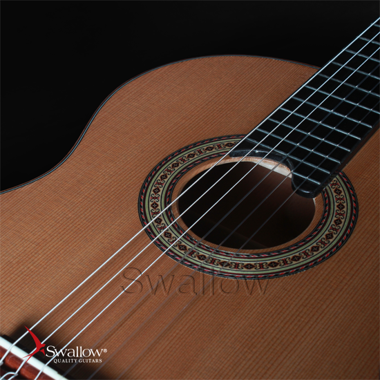 Swallow Classic Guitar C610
