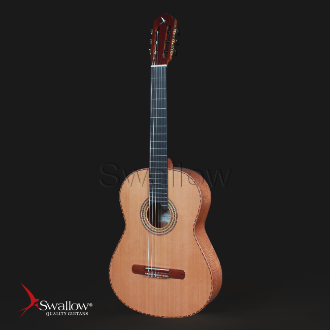Swallow Classic Guitar C650