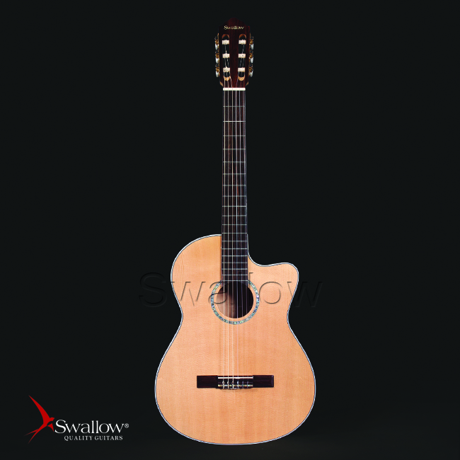 Swallow Classic Guitar C610ce