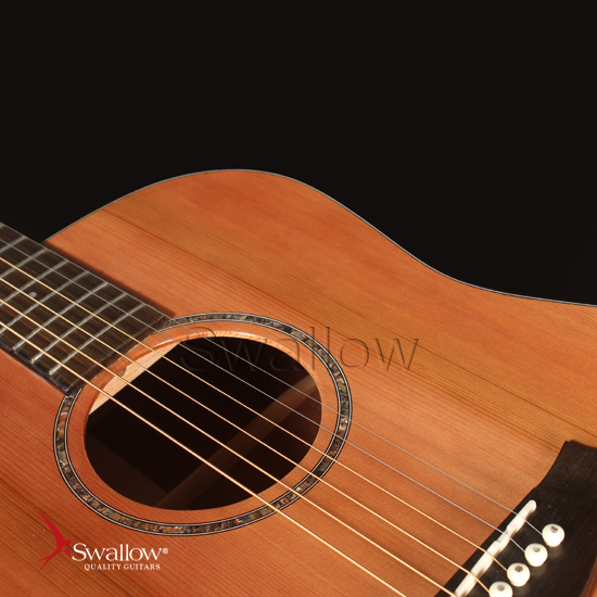 Swallow Acoustic Guitar D700