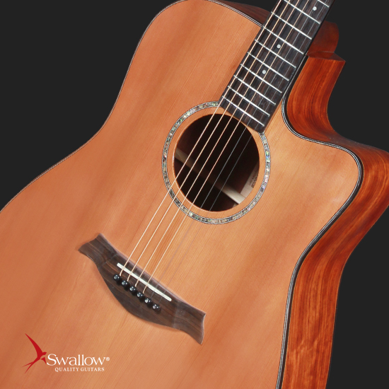 Swallow Acoustic Guitar D700ce