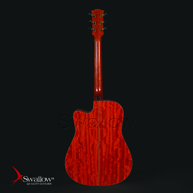 Swallow Acoustic Guitar D700ce