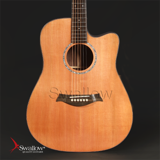 Swallow Acoustic Guitar D900ce