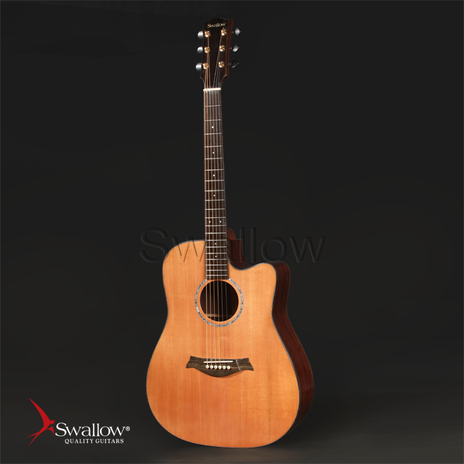 Swallow Acoustic Guitar D900ce
