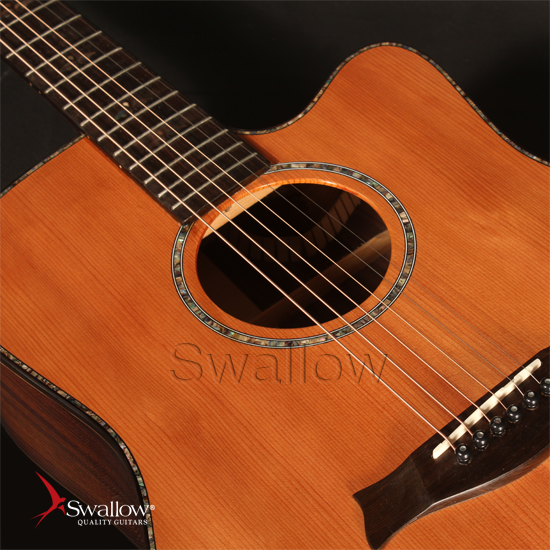 Swallow Acoustic Guitar D912ce